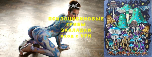молекула духа Алексин