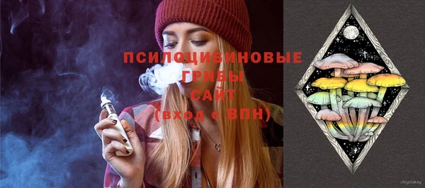 стаф Алзамай